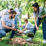 young-volunteers-planting-trees-in-green-park-together.jpg